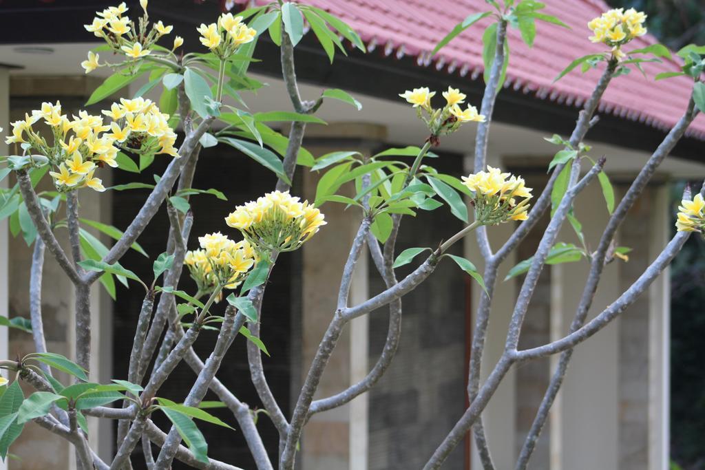 Lala Home Stay Nusa Dua  Esterno foto